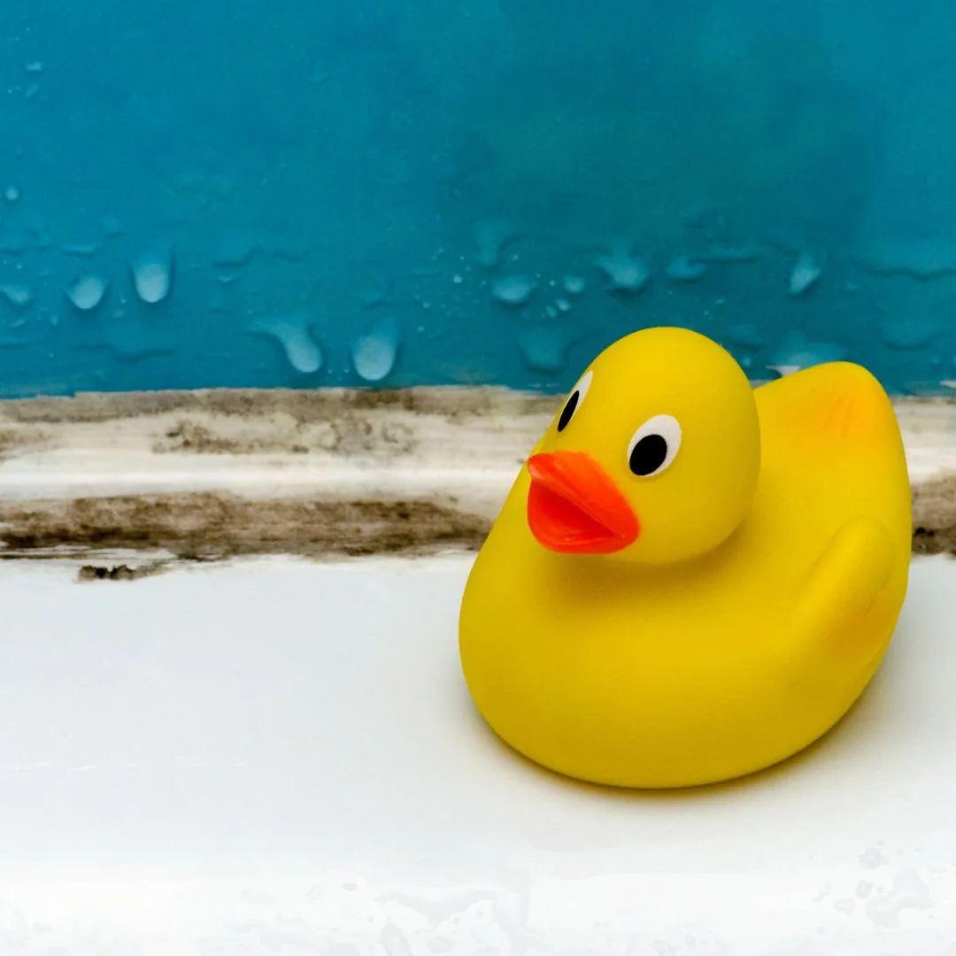 rubber duck in front of mold 