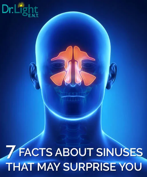 Facts-About-Sinuses