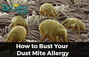 dust-mites2-copy-300x194