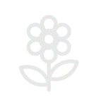 flower-icon@3x-8