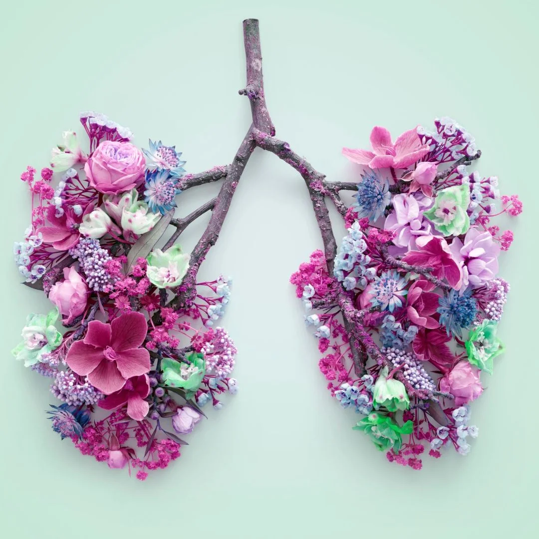 flowers on a tree branch shaped like lungs