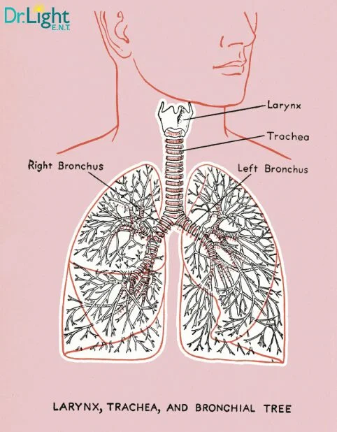 ENT-Specialist-Boynton-Beach