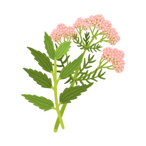 allergy icon